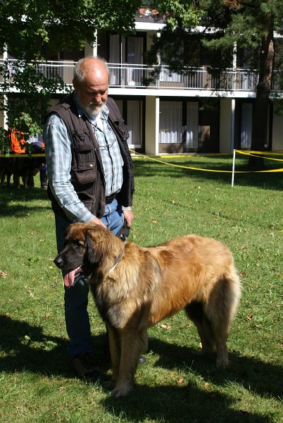 Nachzuchttreffen 08_08 062.jpg - Pius mit Aurora